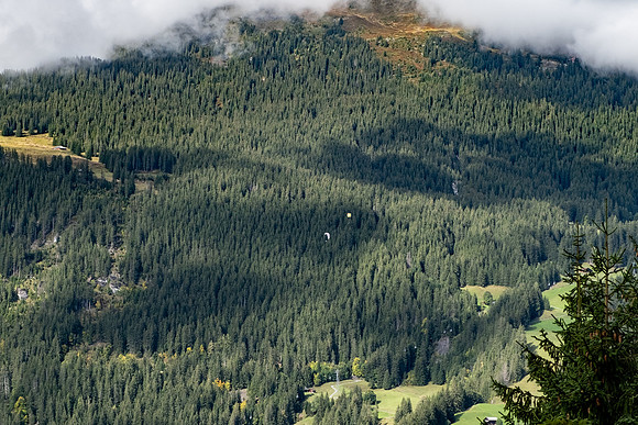20241002-GWSW0856