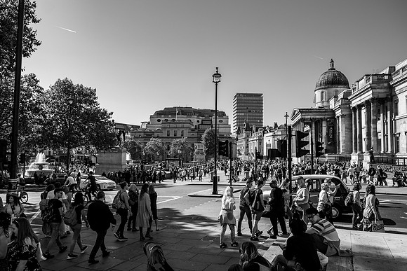 DSCF4766