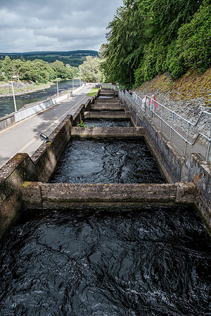 20220704-DSCF6054