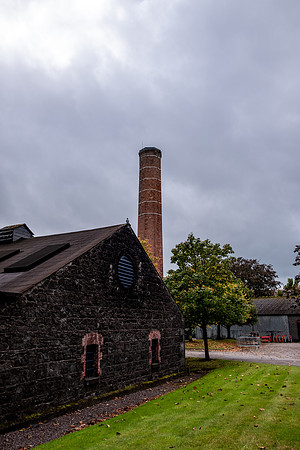 DSCF8568