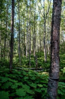 20260814-GWSW3098