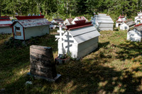 20260814-GWSW3085