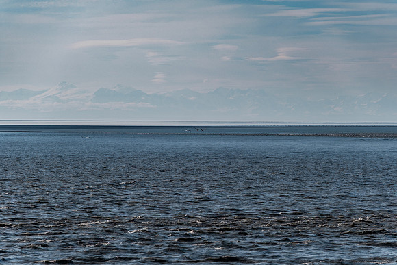 20260814-GWSW3237