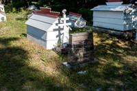 20260814-GWSW3083