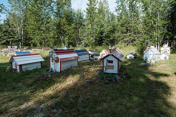 20260814-GWSW3084