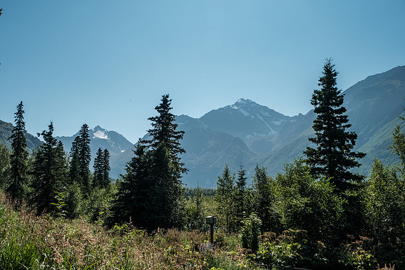 20260814-GWSW3135