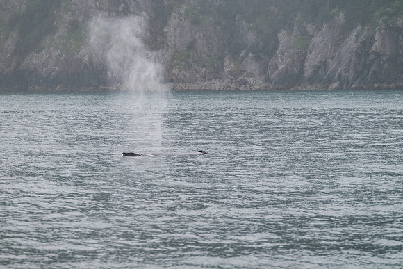 20260820-GWSW0475