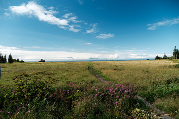 20260821-GWSW1854
