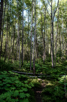 20260814-GWSW3096