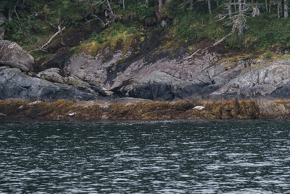 20260820-GWSW1382