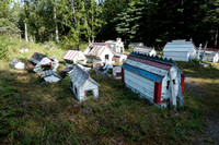 20260814-GWSW3087