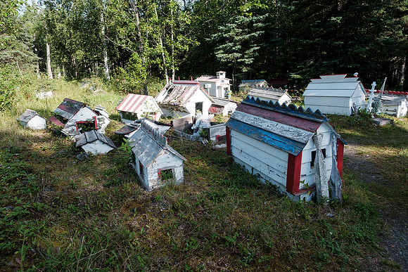 20260814-GWSW3087