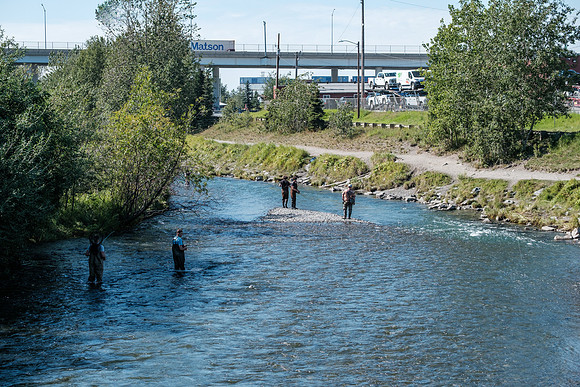 20260814-GWSW3176