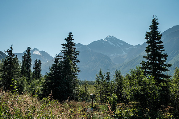 20260814-GWSW3137