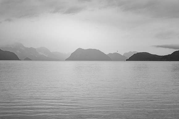 20260819-GWSW0365