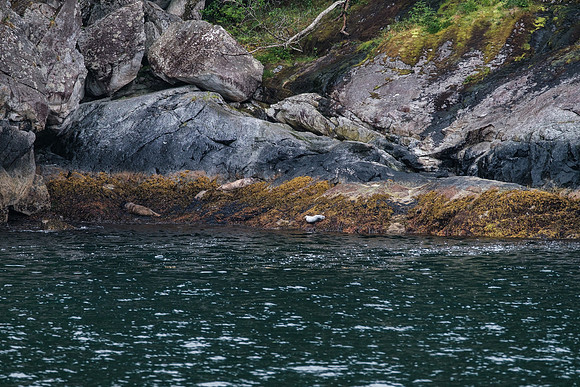20260820-GWSW1393
