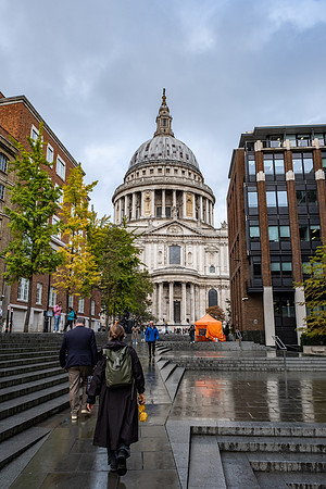 20241008-GWSW2253