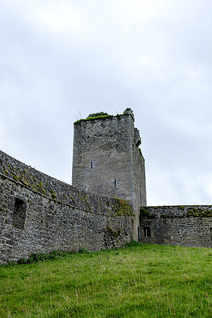 DSCF7783