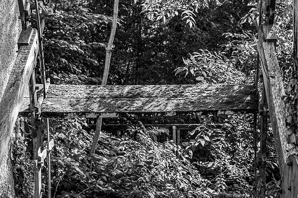 DSCF8126