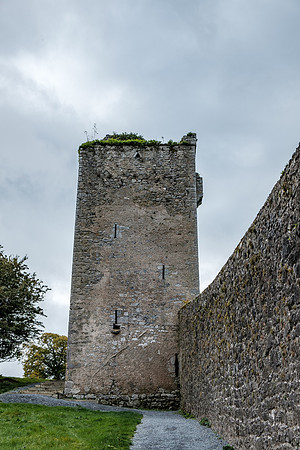 DSCF8217