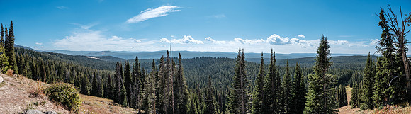20230919-GW230886-Pano