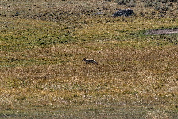20230919-GW231091