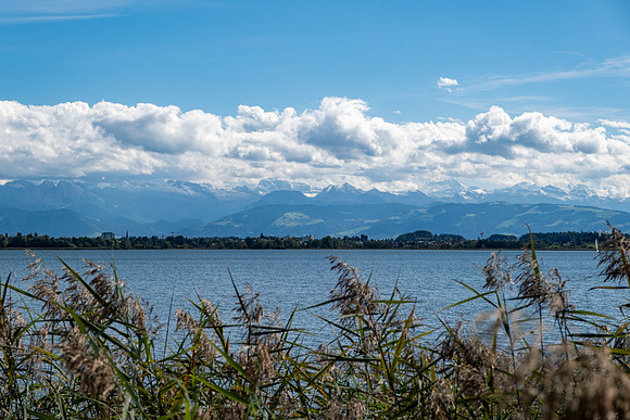20240930-GWSW0516