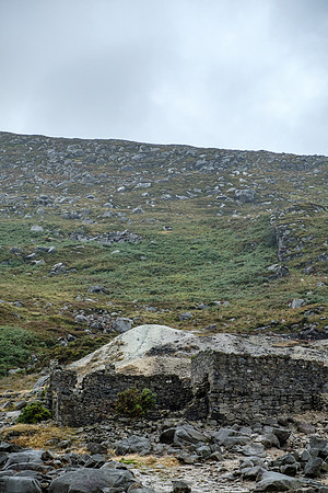 DSCF7676