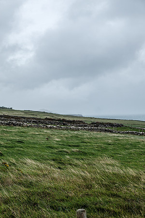 DSCF8877