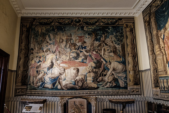 DSCF8412