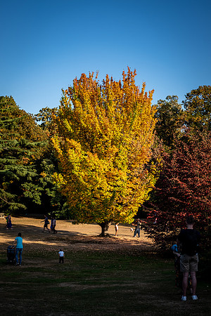 DSCF5378