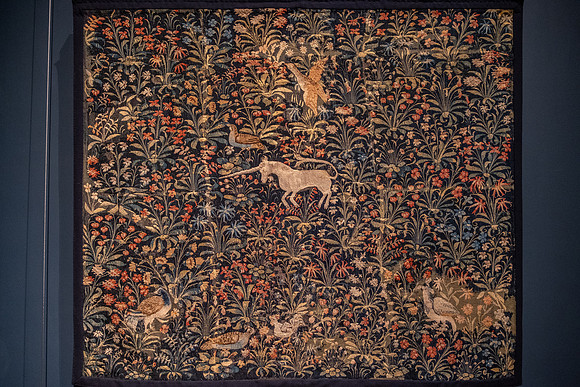 20241007-GWSW2142