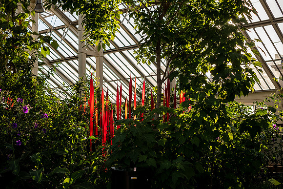 DSCF5529-HDR