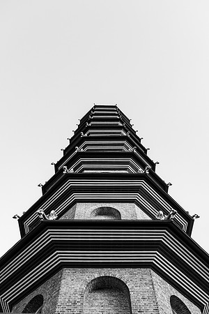 DSCF5951