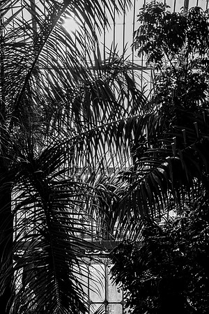 DSCF5244