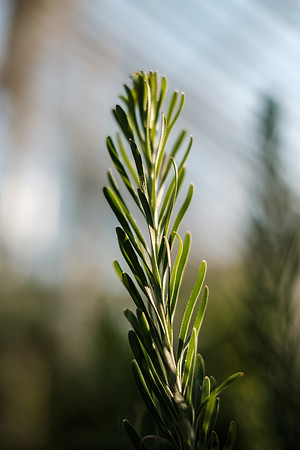 DSCF5701