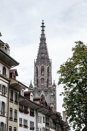 20241004-GWSW1306