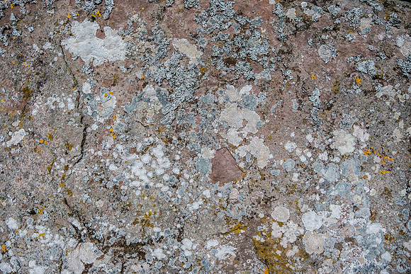 20220705-DSCF6641