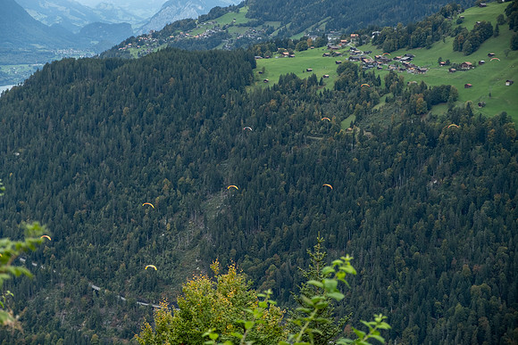 20241002-GWSW0915