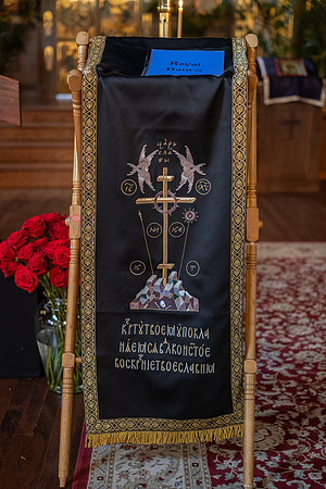 20250418-GWSW1803