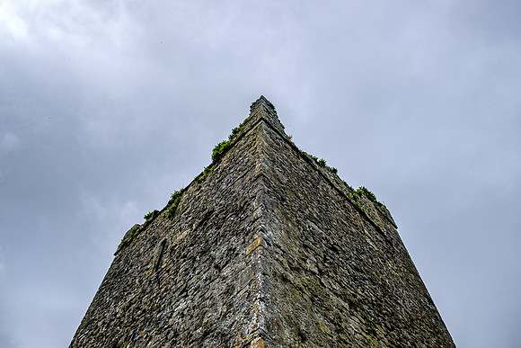 DSCF7829