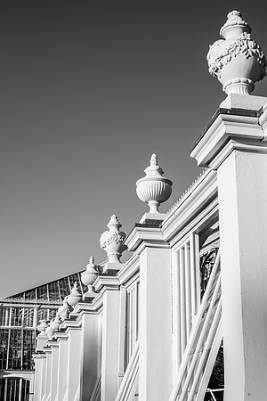 DSCF5719
