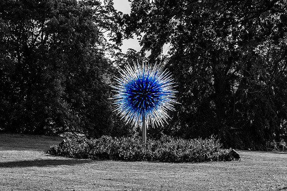 DSCF5215-HDR-2
