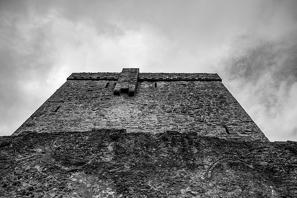 DSCF7946