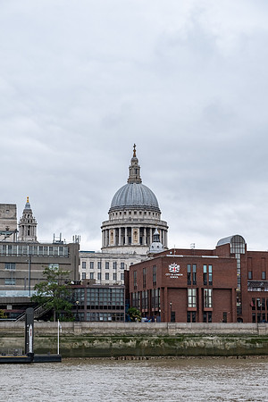 DSCF6598
