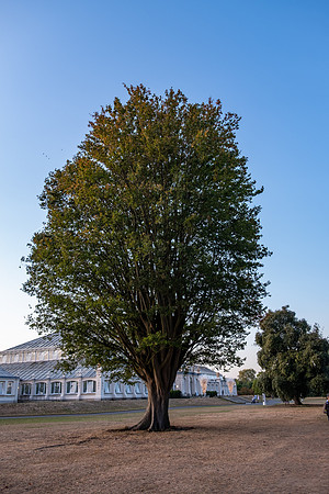 DSCF5962