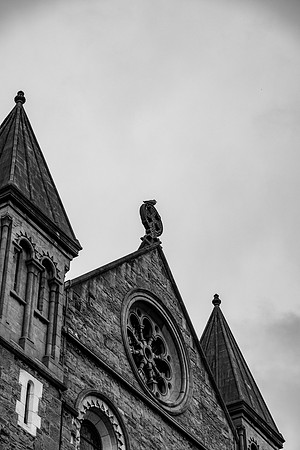 DSCF0994