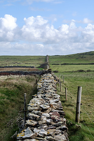 DSCF9876