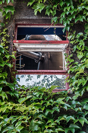 20220704-DSCF6001
