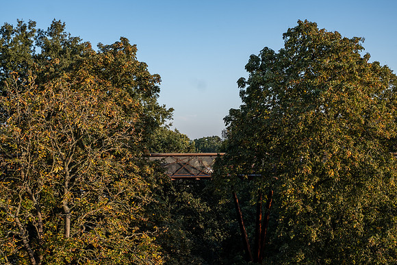 DSCF5743